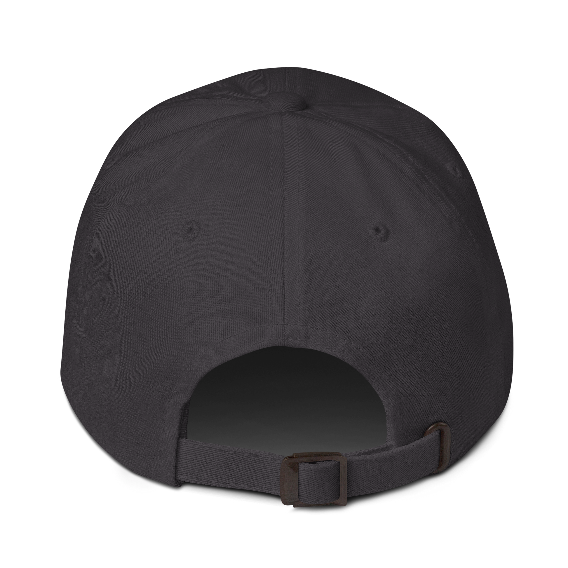 Dark grey 4FRTHS Signature baseball cap adjustable strap back view
